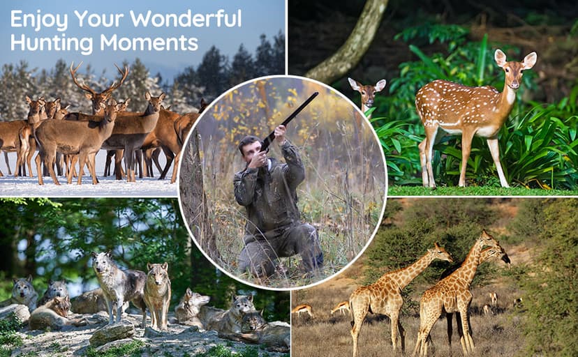 20MP Mini Trail Camera 1080P Hunting Trail Camera with No Glow 940nm Night Vision Motion Activated IP66 Waterproof,80ft Illumination Range Hunting Game Cam for Wildlife Monitoring- Grey-(2 Packs)