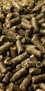 New Country Organics | Loyalty Senior Horse Pellets for Horses 15+ Years Old | Corn-Free and Soy-Free | 16% Protein | Certified Organic and Non-GMO | Nutrition for Senior Horses 40 lbs | Grain Feed