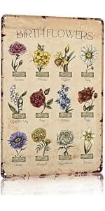 Bestylez Garden Gifts I Really Need All These Plants Vintage Gardening Signs for Home Garden Greenhouse Living Room Bedroom Yard Outdoor Decor 8X12 Inch (3362) B0F246BKWY