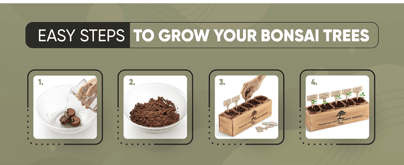 Bonsai Tree Kit for Beginners – 5X Unique Japanese Bonzai Trees | Complete Indoor Starter Kit for Growing Bonsai Plants with Tools & Planters – Gardening Gifts for Women & Men