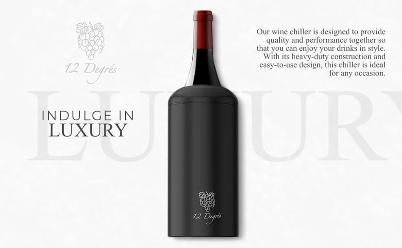 Wine Chiller Set - Perfect Wine Gifts for Women & Men - Stainless Steel Insulated Wine Cooler with Wine Pump, Aerator & 4 Stoppers (Silver)