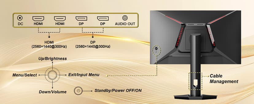 SANSUI 24.5 Inch Gaming Monitor QHD 1440P 300Hz 240Hz, 1ms Fast IPS Computer Monitor, 2× HDMI 2.1 Up to 300Hz, 2× DP 1.4 Up to 300Hz, 130% sRGB Eye Care VESA Support (DP Cable Included ES-G25F6Q Pro)