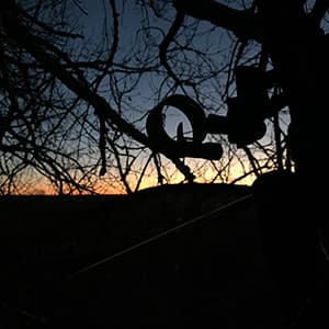 TRUGLO Hip Shot Lightweight Stable Compact Portable Telescopic Versatile Crossbow Shooting Rest for Improved Accuracy
