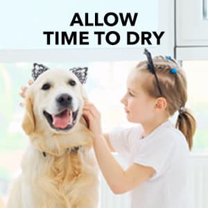 Raid Flea Killer Carpet & Room Spray, Kills hatching eggs for up to 4 months, 16 Oz