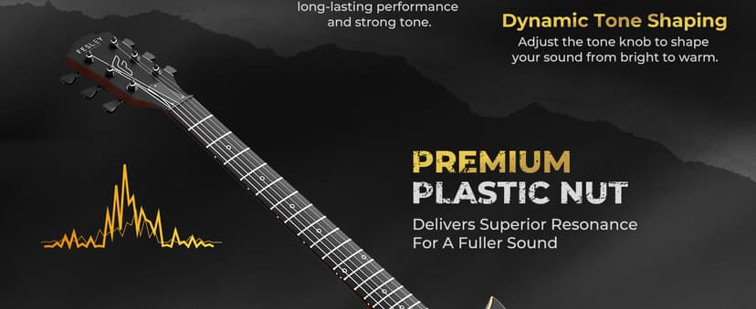 Fesley 39" LP Electric Guitar Kit: Full Size Solid Body Electric Guitars for Beginners with Humbucker Pickups, Poplar Body, Mahogany Neck,22 Frets,6 String Guitar with Gig Bag,Cable,FLP350,Matte,Black