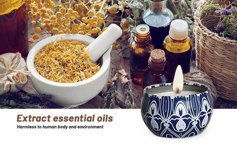 Scented Candles Gifts Set 16 Pack Soy Wax Travel Tin Jar Candles for Home 2.5 OZ for Mom for Christmas, Birthday, Thanksgiving, Mother's Day