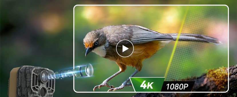 DEATTI Trail Camera 48MP 4K Game Camera with 8 Batteries 32GB SD Card,WiFi Bluetooth Connection,Trail Cameras with Night Vision Motion Activated Waterproof for Wildlife Deer Outdoor 0.1s Trigger Time