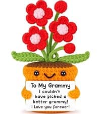 I Love You Crochet Flower Decor for Great Grandma Gigi Nana from Granddaughter Grandson Grandkids Grandparents Day Agantree art Grandma Gifts for Grandma Christmas Birthday Thanksgiving B0F626T63Q