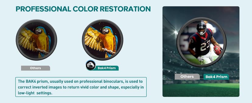 12x42 HD Binoculars for Adults High Powered with Phone Adapter and Tripod, Super Bright BAK4 Prism Waterproof Binoculars for Bird Watching Hunting Hiking Safari Travel Sports