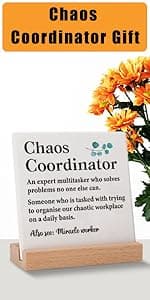 Work Bestie Christmas Gifts for Women Coworker Friends, From Coworkers to Friends Gift for Birthday Retirement Farewell Thanksgiving Day Mothers Day, Funny Work Bestie Definition Signs for Favorite Friend At Work