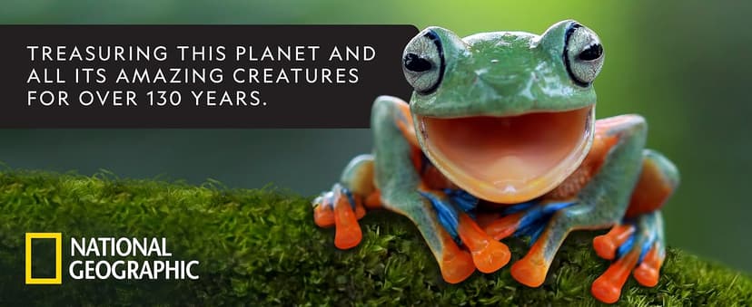 NATIONAL GEOGRAPHIC Gross Science Kit - 45 Gross Science Experiments- Dissect a Brain, Make Slime, Creepy STEM Project Gifts for Boys and Girls, Halloween Activities for Kids 8-12 (Amazon Exclusive)