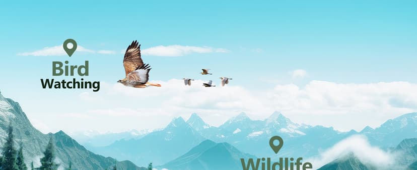 Gosky Flagship DiamondEdge 20-60x80 Spotting Scope with Tripod, Carrying Bag and Quick Phone Holder - BAK4 High Definition Waterproof Spotter Scope for Bird Watching Wildlife observing,Green