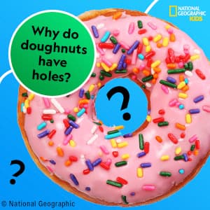 National Geographic Little Kids First Big Book of Why: Questions and Answers About the World for Curious Kids 1426307934