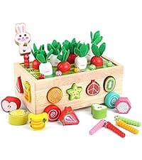 Toddlers Montessori Wooden Educational Toys for Baby Boys Girls Age 1 2 3 Year Old, Shape Sorting Toys 1st One First Birthday Girl Gifts for Kids 1-3, Wood Preschool Learning Fine Motor Skills Game