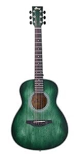 WINZZ AF227A 39 Inches Concert Acoustic Acustica Guitar with Full Kit, Delicate Vine