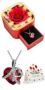 Preserved Red Real Rose with Heart I Love You Necklace -Eternal Flowers Rose Birthday Gifts for Women Her Mom Wife Girlfriend Grandma on Valentines Mothers Day Christmas Anniversary Romantic-Red