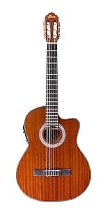 WINZZ AC309CE 39 Inches Cutaway Nylon-string Classical Electric Guitar Build-in Pickup Kit Set Online Lessons, Blue