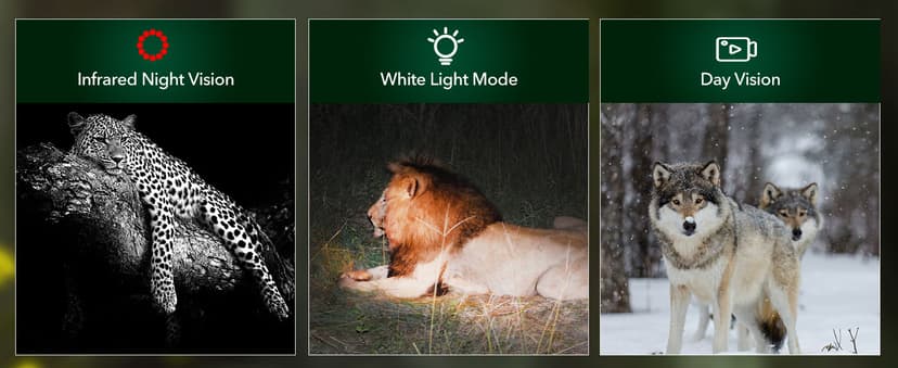 4G LTE Cellular Trail Cameras 2K 360° View Live Streaming Game Camera Built-in SIM Card with Motion Activated Color Night Vision Remote Phone Access Solar Powered Trail Camera IP65 Waterproof 2 Pack