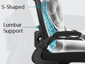 FelixKing Office Chair, Ergonomic Desk Chair Breathable Mesh Chairs Adjustable High Back Lumbar Support Flip-up Armrests, Executive Rolling Swivel Comfy Computer Chairs Home Office Black