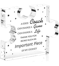 Best Birthday Thank You Retirement Farewell Gifts for Female Boss Leader, Boss Inspirational Gifts Appreciation Keepsake Funnli Boss Gifts for Women Men, Bosses Day Gifts for Boss Lady Plaque B0C6XJX64Z