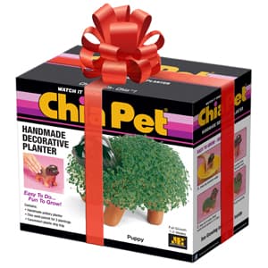 Chia Pet Hello Kitty with Seed Pack, Decorative Pottery Planter, Easy to Do and Fun to Grow, Novelty Gift, Perfect for Any Occasion