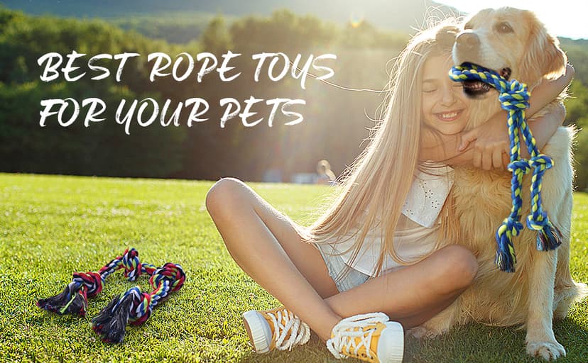 Feeko Heavy Duty Dog Rope Toys for Large Breed Aggressive Chewers, 2 Pack Indestructible Teeth Cleaning Tug of War Toy