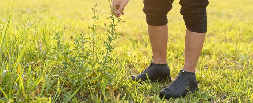 ydfagak Shoe Covers Waterproof Reusable Foldable Not-Slip Rain Shoe Covers with Zipper,Shoe Protectors Overshoes Rain Galoshes for Kids Men and Women