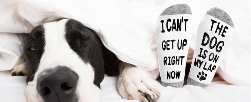 Dog Mom Dog Lover Gifts for Women, 20oz Wine Tumbler Set with Makeup Bag & Natural Stone Paw Bracelets & Socks for Women - Perfect for Birthdays, Mothers Day & Christmas