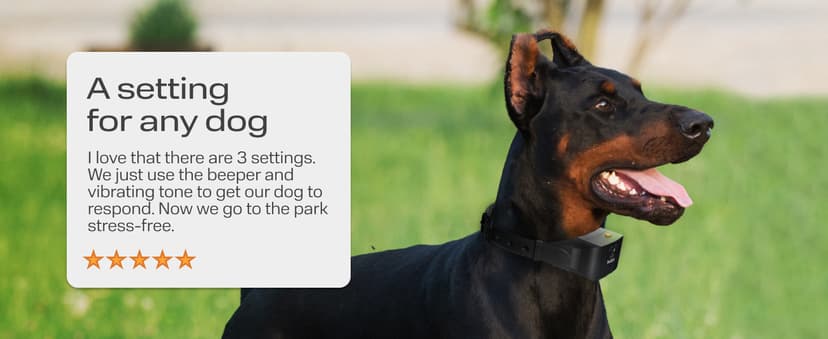 PetSpy Shock Collar for Dogs-Waterproof Dog Shock Collar with Remote Control,Vibration,Electric Shock,Beep-E Collar for Dogs Training,Collar with Remote for 10-140 LBS