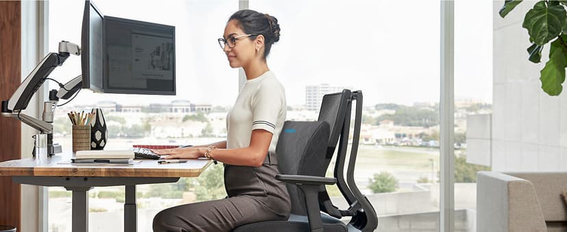 Lumbar Support Pillow for Office Chair Back Support Lumbar Pillow for Car, Gaming, Office Chair - Improve Sitting Posture & Back Pain Relief, Memory Foam, Adjustable Straps, Grey