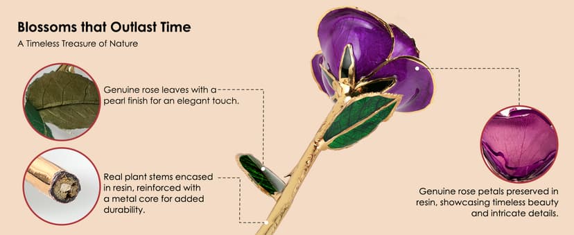 Handpicked real rose dipped in 24K gold; a one-of-a-kind keepsake for women on Valentine’s Day, Mother’s Day & anniversaries 24K Gold Dipped Real Rose, Forever Flower, Purple B0F93N2SKX