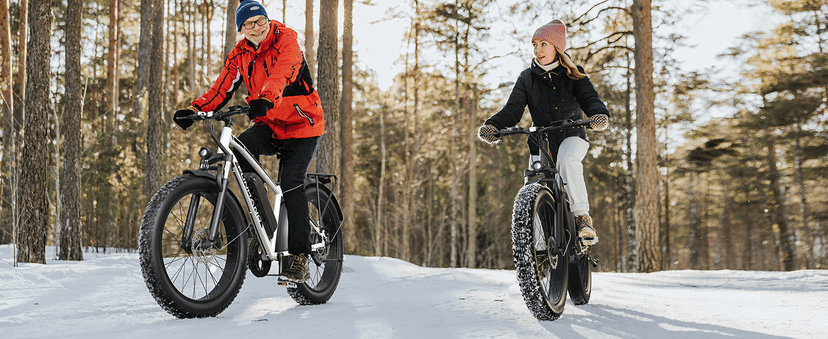 Electric Bike for Adults, 1000W Peak Ebike, 25MPH 60Miles Electric Mountain Bike, 26" Fat Tire Electric Bicycle with 48V 13AH Battery, Front Suspension,7 Speed, Rear Rack, UL 2849 Certified
