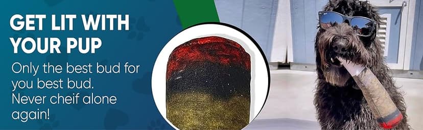 Doggy Doobie - Funny Dog Toys - Plush Squeaky Toys for Medium, Small and Large - Cool Stuffed Cute Gifts for Dog Birthday