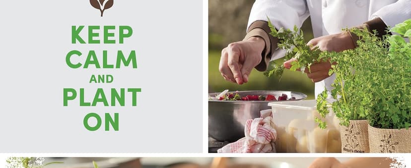 Planters' Choice 9 Herb Indoor Window Garden Kit - House Plants Seeds - Best Unique Gift Ideas for Women, Mom, Friend, Her, Birthday, Housewarming, Mother - New Home Kitchen Gifts - Live Plant Starter