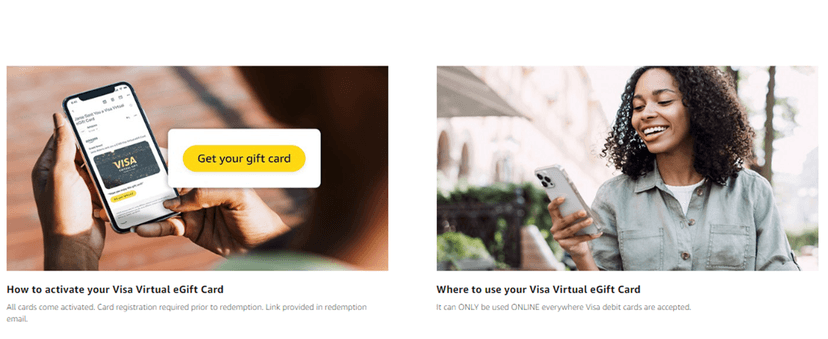 $100 (plus $5.95 Purchase Fee) - For Online Use Only Visa Virtual eGift Card B0DG8FDNBK
