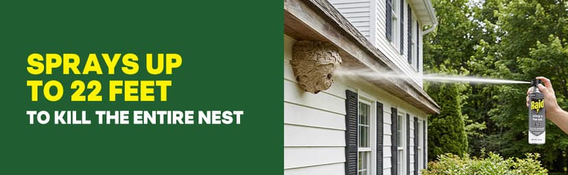 Raid Wasp & Hornet Killer Spray, Kills the Entire Nest, For Paper Wasps, Yellow Jackets, Mud Daubers and more, 14 oz (Pack of 2)