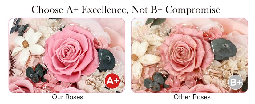 Preserved Flowers Bouquet with Bear, 3 Real Forever Flowers for Delivery, Long-Lasting Pink Eteranl Roses Bouquet Birthday Gifts for Women, Mother, Wife, Her