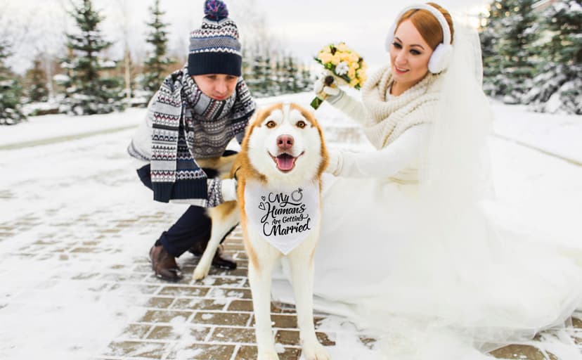 Engagement Gift, My Humans are Getting Married Dog Bandana, Wedding Photo Prop, Pet Scarf, Dog Engagement Announcement, Pet Accessories (Black) B09FDTW997
