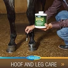 Farnam Vita Plus Balanced Multi-Vitamin & Mineral Horse Supplement, Provides Balanced Nutrition to Support Overall Health and Performance, 3.75 pounds, 30 Day Supply