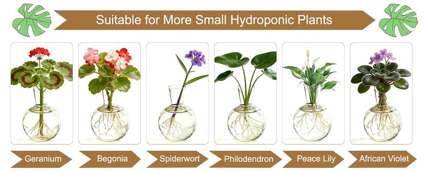 Unique Gardening Birthday Gifts for Women Plants Lovers, Home Office Garden Decor Planter - 3 Bulb Glass Vases Renmxj Plant Propagation Station, Plant Terrarium with Wooden Stand B096VDR4TM
