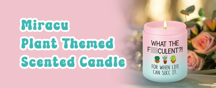 Pick Me up, Break up Gifts for Women Her, Funny Birthday Christmas Cool Gifts for Plant Lovers Mom Lady Friend Wife Miracu Succulent Candle, Get Well, Cheer up, Plant Lover Gifts for Women B0BJ2RSYBB