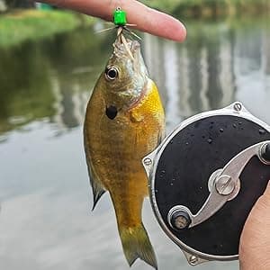 Fly Fishing Flies Assortment Kit Dry Wet Nyphms Tenkara Popper Streamer Woolly Bugger for Trout Bass Salmon Steelhead with Fly Box