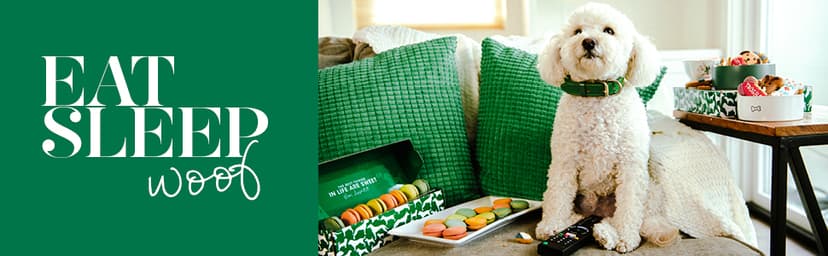 Thoughtfully Pets, Blue Dog Birthday Cookie Gift Set, Hand Decorated Crunchy Dog Treats in Bone Shapes, Great for Birthdays, Set of 8