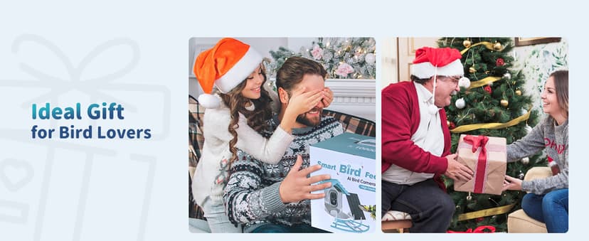 Smart Bird Feeder with Camera Solar Powered & AI Bi rd Identification, 2.4Ghz WiFi Bird feeders for Outdoors, 2K Live Video, Nstant Arrival Alerts - Gifts for Women