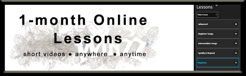 WINZZ AF227A 39 Inches Concert Acoustic Acustica Guitar with Full Kit, Delicate Vine