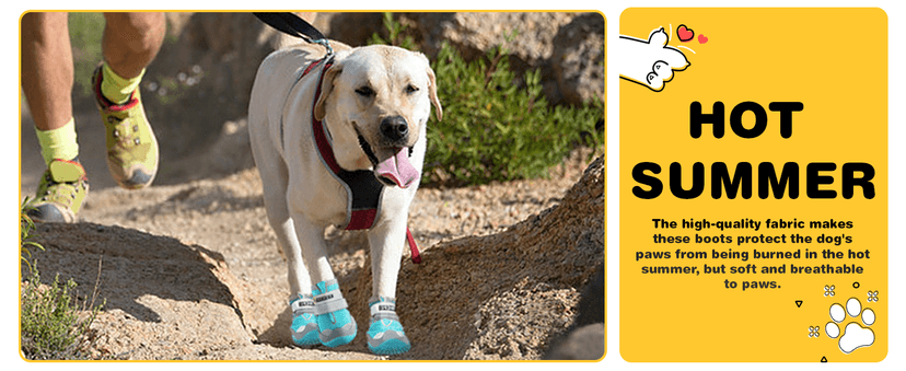 Hcpet Dog Shoes, Dog Boots & Paw Protectors for Winter Snowy Days, Rainy Weather, Outdoor Anti-Slip Sole Dog Booties for Hardwood Floor Black-Leg 1