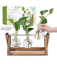 Unique Gardening Birthday Gifts for Women Plants Lovers, Home Office Garden Decor Planter - 3 Bulb Glass Vases Renmxj Plant Propagation Station, Plant Terrarium with Wooden Stand B096VDR4TM