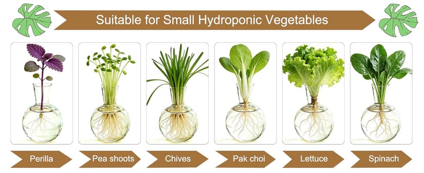Unique Gardening Birthday Gifts for Women Plants Lovers, Home Office Garden Decor Planter - 3 Bulb Glass Vases Renmxj Plant Propagation Station, Plant Terrarium with Wooden Stand B096VDR4TM