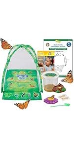Insect Lore Butterfly Garden Kit – 10 Live Caterpillars, Habitat, STEM Journal, 2 Chrys-a-lid Holding Logs & Feeder – Grow & Release Painted Lady Butterflies – Educational Science Toy
