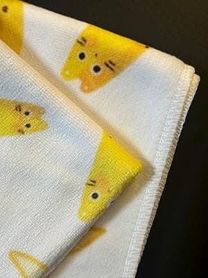 World's Best Dog Aunt Kitchen Towels, Aunt Gifts, Dog Gifts, Aunt Hand Towels Dish Towels for Bathroom Kitchen 16x24 Inch